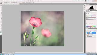 How to apply textures to an image in Photoshop and advanced blending tecnhiques [upl. by Maggie]