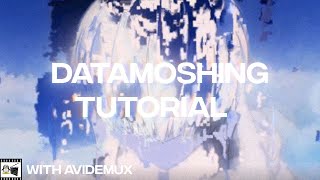 EASY DATAMOSH WITH AVIDEMUX TUTORIAL [upl. by Leicam]