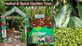 Kerala Series Pt3 Herbal And Spice Garden Tour In Munnar  Everest Green Kerala  SheV Style [upl. by Nyrroc]