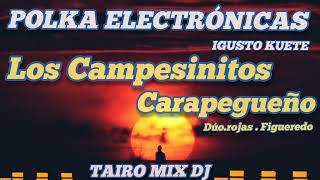 POLKA 🇵🇾 igusto kuete LOS CAMPESINITOS🔥 CARAPEGUEÑO ELECTRÓNICA 🎶🙏💯TAIROMIXDJ [upl. by Maible]