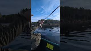 3 days solo camping trip of Coast of Frøya fishing nature scandicoutdoors trip camping [upl. by Enilec272]