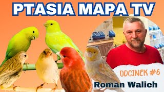 Ptasia Mapa TV 6 Roman Walich Hodowla Kanarków kolorowych [upl. by Sina]