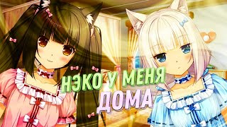 Появление неко извращенок ► Nekopara vol 0 [upl. by Griselda926]