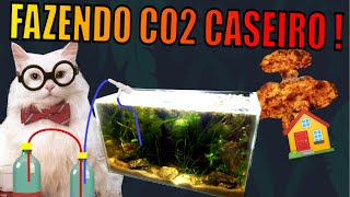 🔴 COMO FAZER CO2 CASEIRO PARA AQUÁRIOS PLANTADOS  BARATO E FÁCIL  Mr Betta [upl. by Obaza]