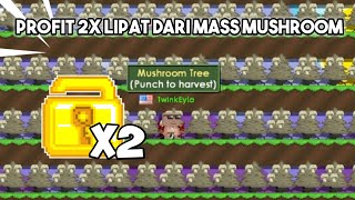 AKU MENDAPATKAN PROFIT DUA KALI LIPAT DARI MASS MUSHROOM UNTUK PEMULA  GROWTOPIA INDONESIA [upl. by Georgeanna30]