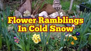 Flower Ramblings In Cold January Snow No Dig Organic Allotment Kitchen Garden And Polytunnel [upl. by Wearing230]