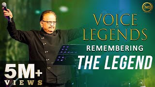 Remembering the Legend  SP Balasubrahmanyam  Voice of Legends  Noise and Grains [upl. by Elac]