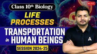 Transportation in Human Beings  Life Processes  Class 10 Biology Chapter 1  Biology by Raghvendra [upl. by Ecniv]