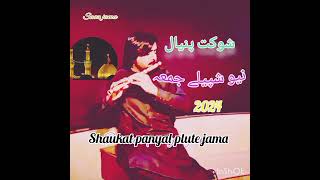 SHauKAT PAnYAL NeW PLuTe JAmA  Saaz jama NeW GHarBInA JAMA 2024 SHAUKAT PANYAL jamA [upl. by Aneehs]