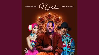 Mduduzi Ncube  Njalo Official Audio ft Mafikizolo [upl. by Nade625]