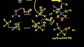 Formation of imines and enamines  Aldehydes and ketones  Organic chemistry  Khan Academy [upl. by Intisar]