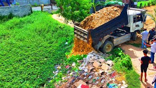 New Project  Landfill up in Flooded areas Bulldozer D20A amp Truck 5T Pushing Soil Into water [upl. by Galitea]