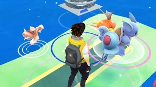 A Wild Wartortle Has Appeared 😲 Benicia Point Pokémon Adventures [upl. by Nasar752]