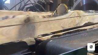 Sawmilling Chinese Sumac  tree of heaven and 2 Manitoba maple 🍁 sawmill ill [upl. by Fisk]