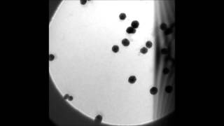 Poseidon Select Liquid™ In Situ Cell Gold Nanoparticles Interaction with Beam [upl. by Ycrep]