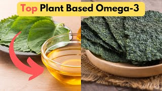 The Best PlantBased Omega3 Sources and Why You Need Them [upl. by Pangaro548]