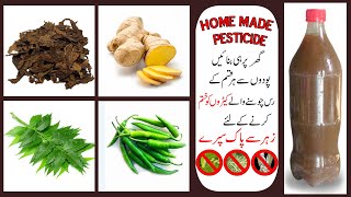 How to make Free all rounder Insecticide Pesticide  Fungicide for plants at home  PGP [upl. by Ekram833]