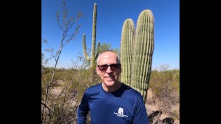 Saguaro National Park [upl. by Nreval]