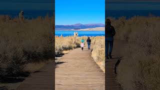 Mono Lake ⛰️ travel nature alternativelifestyle homeschooling monolake sierranevadamountains [upl. by Liebermann550]