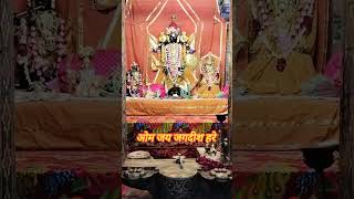 Om Jay Jagdish Hare  Jagdish Mandir Udaipur  Thakur ji  Udaipur [upl. by Oivaf]