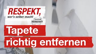 Tapeten komplett entfernen  toom Werkstatt [upl. by Hayarahs]