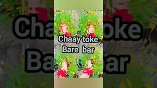 tor mon paray❤️songsshortslyrics videobengali song [upl. by Bazar848]