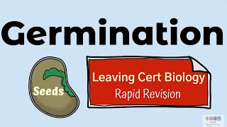 Germination Biology Bugbears Rapid RevisionLeaving Cert Biology 2025 Plant Reproduction [upl. by Ahseekat]