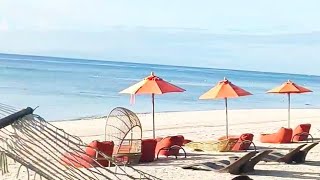 TESS Lifestyle Vlog is live SOUTH PALM BEACH IN PANGLAO BOHOL [upl. by Trudy]