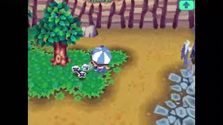 12pm Animal Crossing Wild World extended 1 hour PROPERLY [upl. by Stephi]