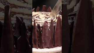 How to Make a Vertical Buche de Noel cake shorts [upl. by Abbub333]