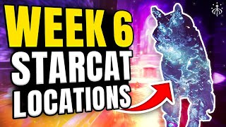 Destiny 2  Find All Starcat Locations For Week 6 Of Season Of The Wish [upl. by Gleason]