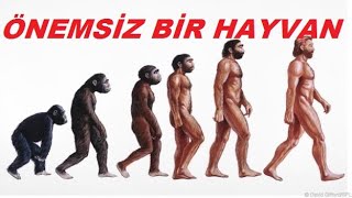 ÖNEMSİZ BİR HAYVAN SESLİ KİTAP [upl. by Aehsat]