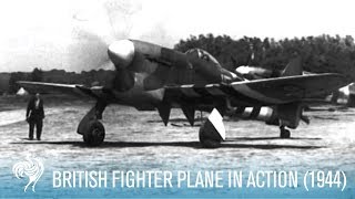 British RAF Hawker Tempest Fighter Plane in Action 1944  British Pathé [upl. by Yelrebmik]