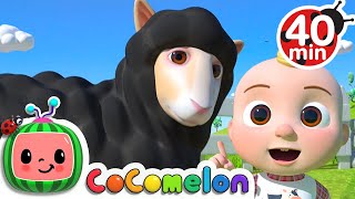 Baa Baa Black Sheep Song  More Nursery Rhymes amp Kids Songs  CoComelon [upl. by Rosalia461]