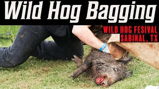 Sabinal Wild Hog Festival Exposed [upl. by Rosel]