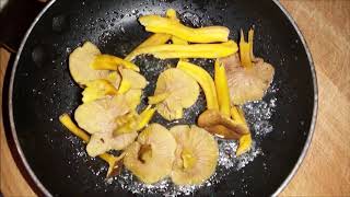 WINTER CHANTERELLE ID amp TASTING UK [upl. by Ronica]