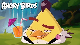 Angry Bird Chucks Most CHUCKLESOME Moments 🐤 [upl. by Emerald]