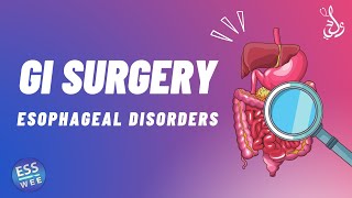 3 Esophageal Disorders  أمراض المرئ [upl. by Arundell]