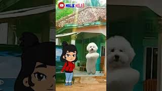 Tame dog shorts doglover dog funny [upl. by Yejus]