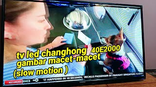 tv led changhong 40 inci gambar slow motion dan bergetar [upl. by Ahsim]