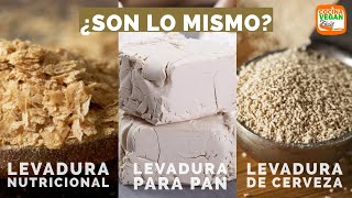 Diferencias entre la levadura de cerveza para pan y la nutricional  Cocina Vegan Fácil [upl. by Islean]