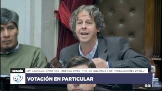 quotNo plantean las bases de la emergencia por la que le otorgarán facultades extraordinarias a Mileiquot [upl. by Judon]