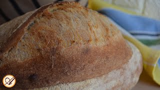 Pane fatto in casa con licoli  Lievito madre [upl. by Euqirrne415]