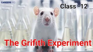 Molecular Basic Of Inheritance The Grifith Experiment  Genetic Material Class 12 UpampCbse 😊👍 [upl. by Sutit]