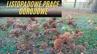 Jakie prace wykonać w ogrodzie w listopadzie [upl. by Almat]