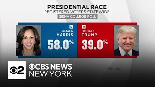 Kamala Harris opens 19point lead on Donald Trump in New York new poll says [upl. by Oalsecnew]