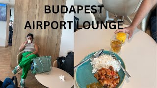 Budapest Plaza Premium Lounge Budapest Airport Lounge airporttour airport budapestairport [upl. by Alehtse962]