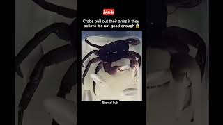 Crabs can pull there arms ETERNAL HUB  shorts eternalhub science sciencehub [upl. by Huggins253]