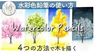 【水彩色鉛筆の使い方】4つの技法で春夏秋冬の木を描く方法 [upl. by Setarcos]