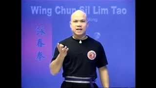 Wing Chun kung fu siu lim tao  form applications Lessons 410 [upl. by Fawn]